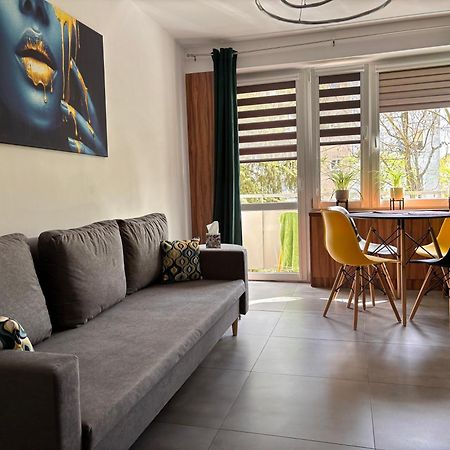 Apartament Teresa Nysa Exterior foto